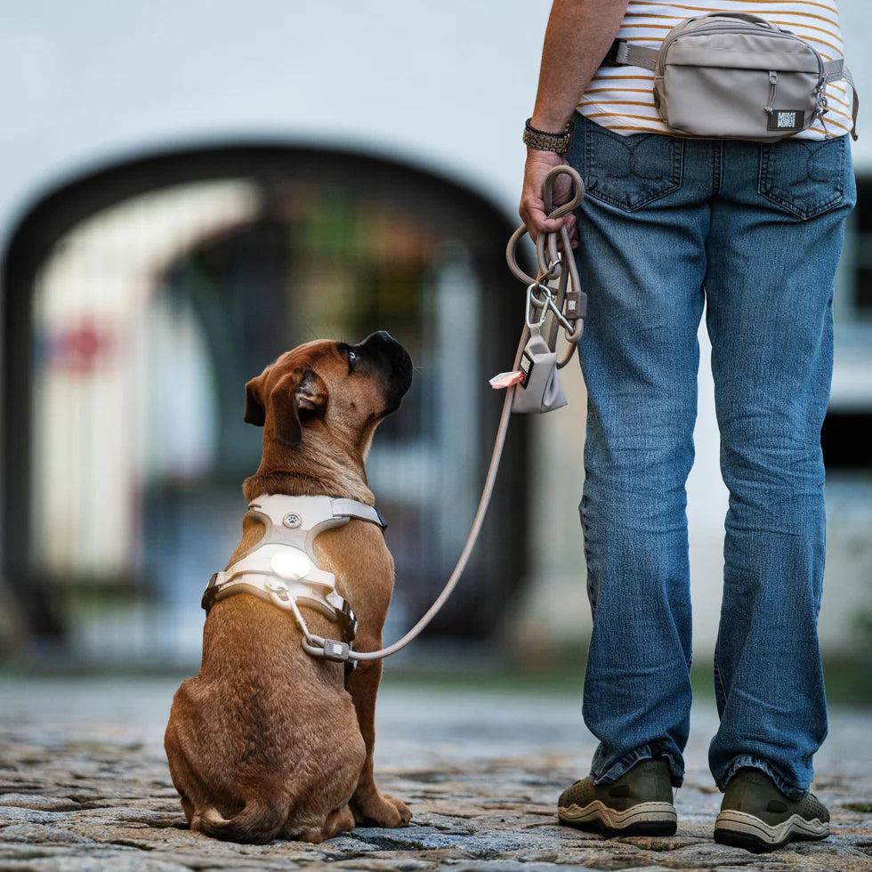 Correa Rope Leash Matrix 2.0 Sand Max & Molly para perros