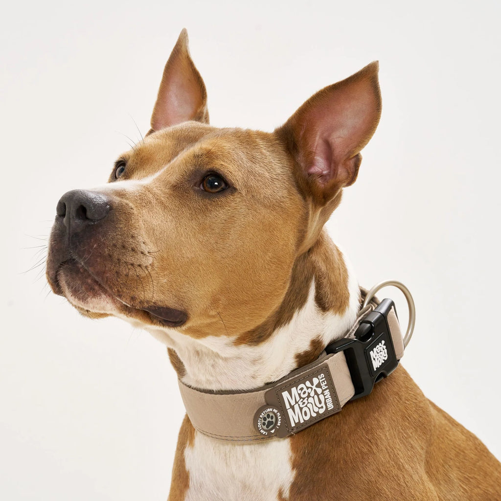 Collar Ancho Smart ID Matrix 2.0 Sand Max & Molly para perros
