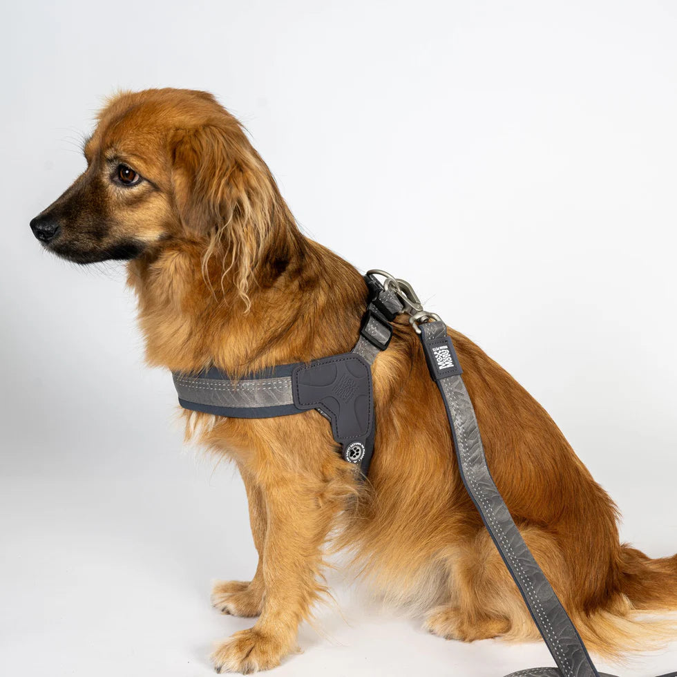 Arnés Q-Fit Matrix 2.0 Stone Max & Molly para perros