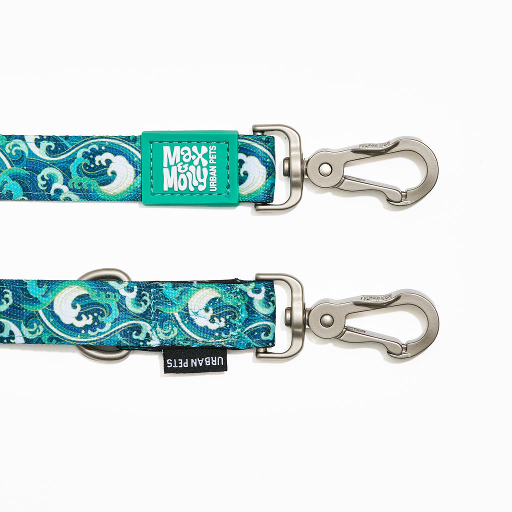 Multi-Function Leash - Storm