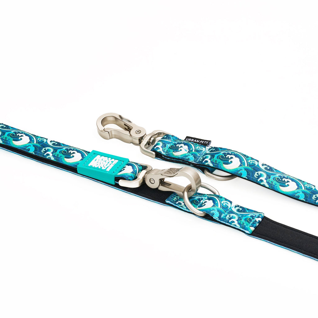 Multi-Function Leash - Storm