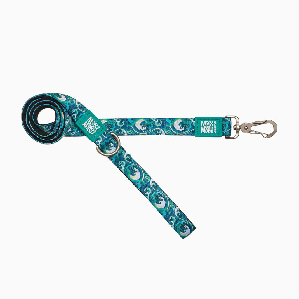 Short Leash - Storm