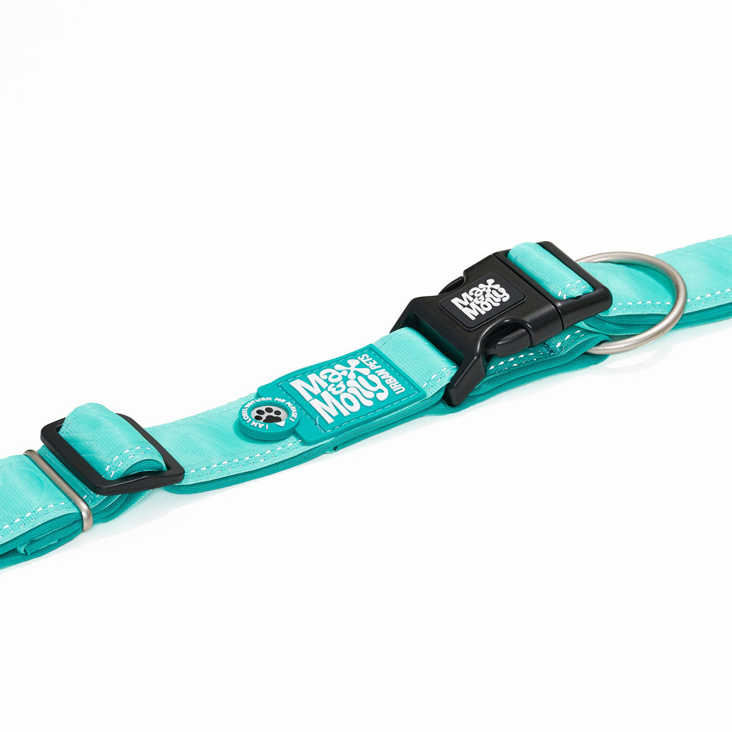 Collar Ancho Smart ID Matrix 2.0 Turquoise Max & Molly para perros