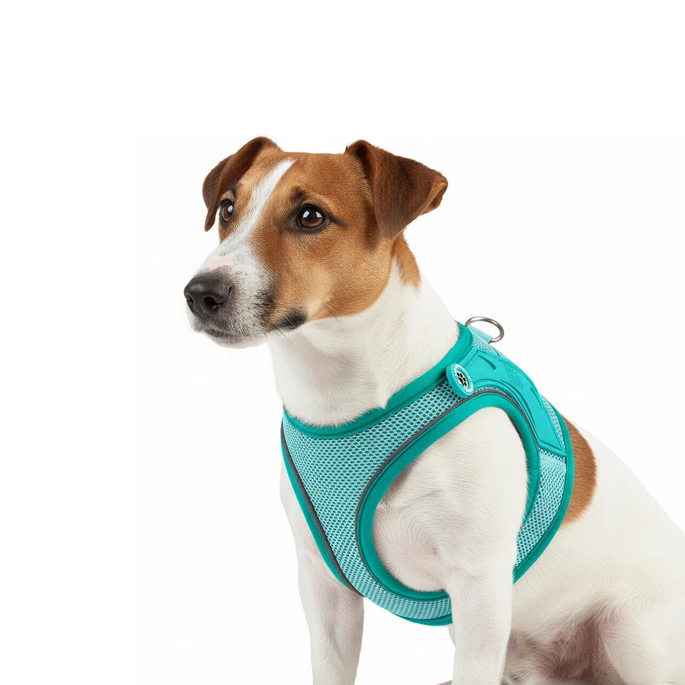 Arnés Air Vest Matrix 2.0 Turquoise para perros de Max & Molly