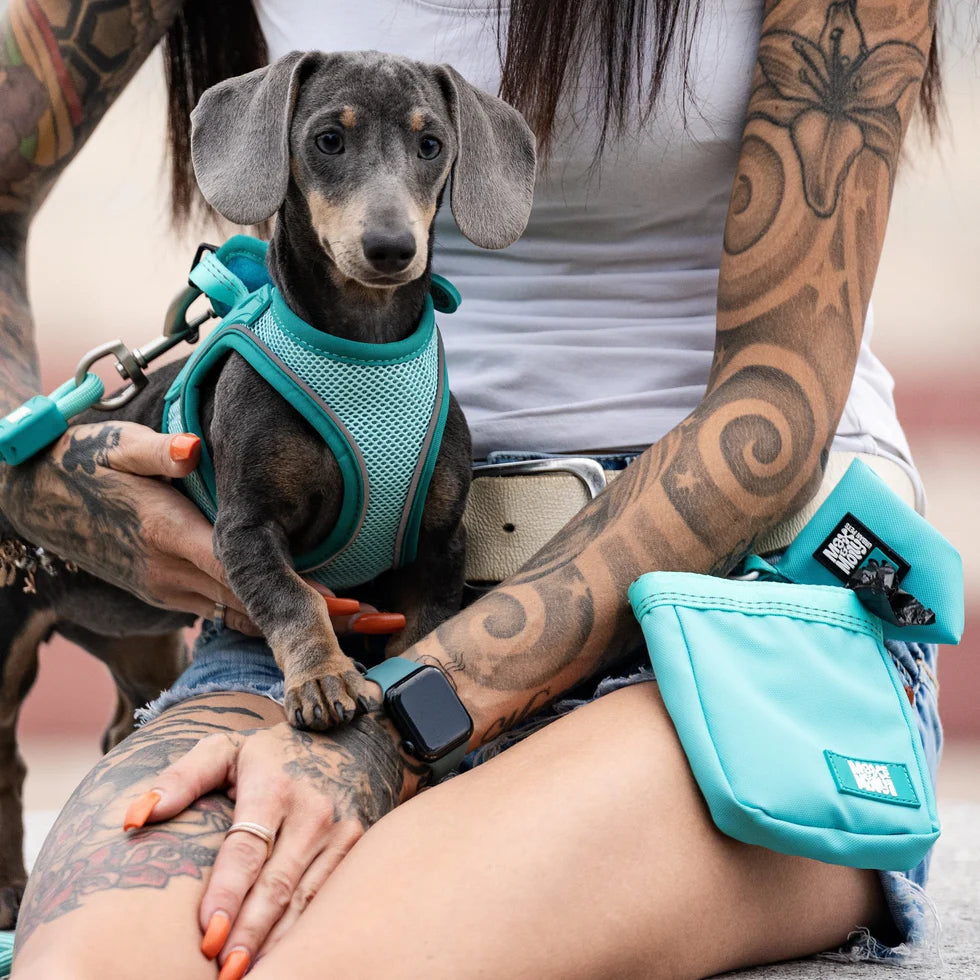 Bolsa de premios Matrix 2.0 Turquoise Max & Molly
