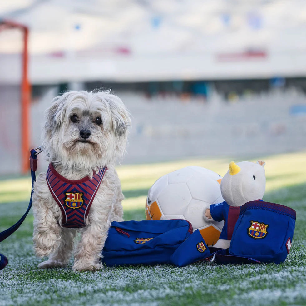 Llavero FC Barcelona Max & Molly