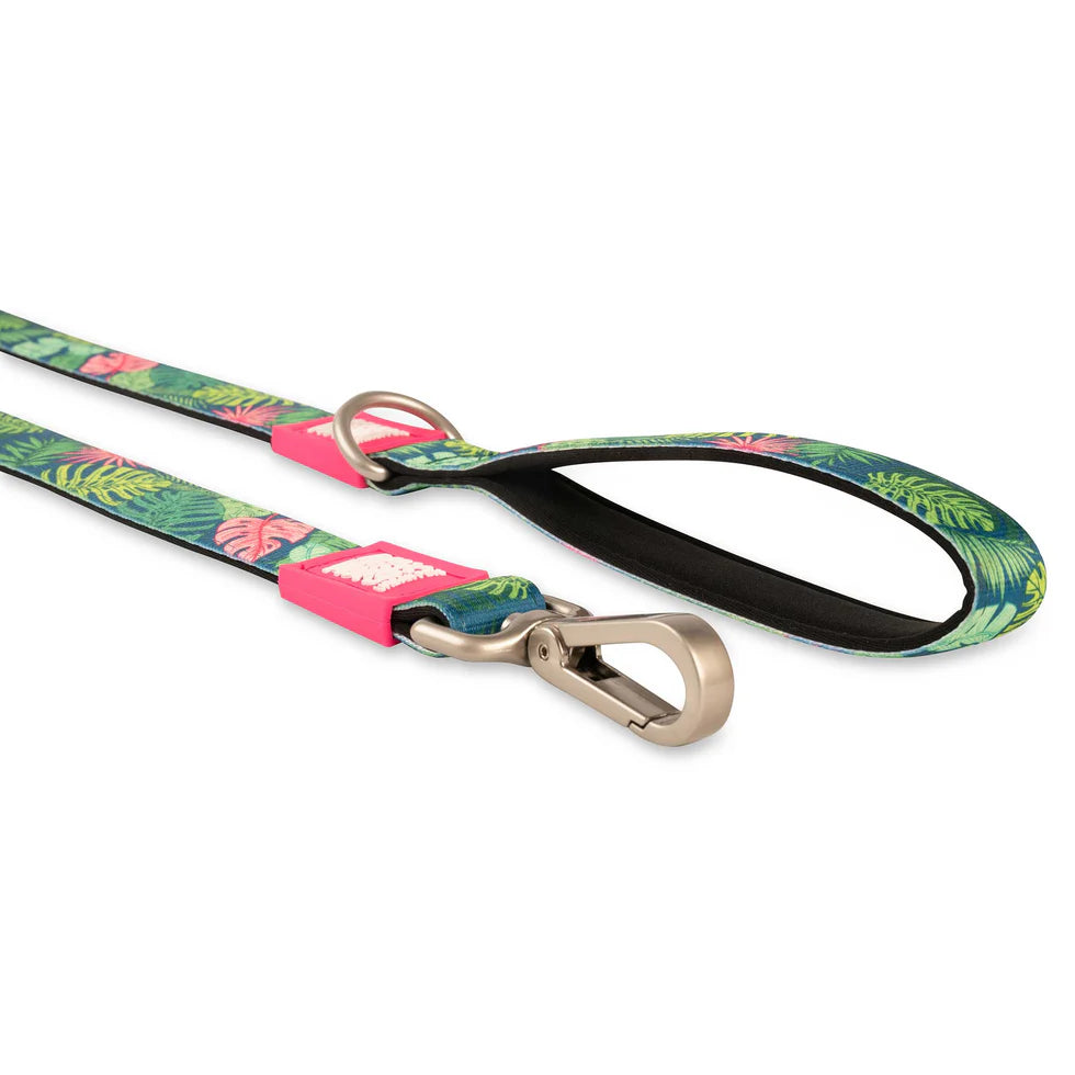 Correa Tropical Max & Molly para perros