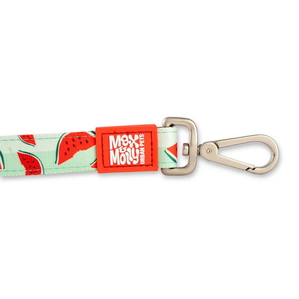Correa Watermelon Max & Molly para perros — imagen de producto