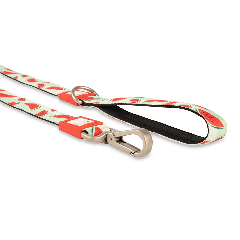 Correa Watermelon Max & Molly para perros — detalle del diseño