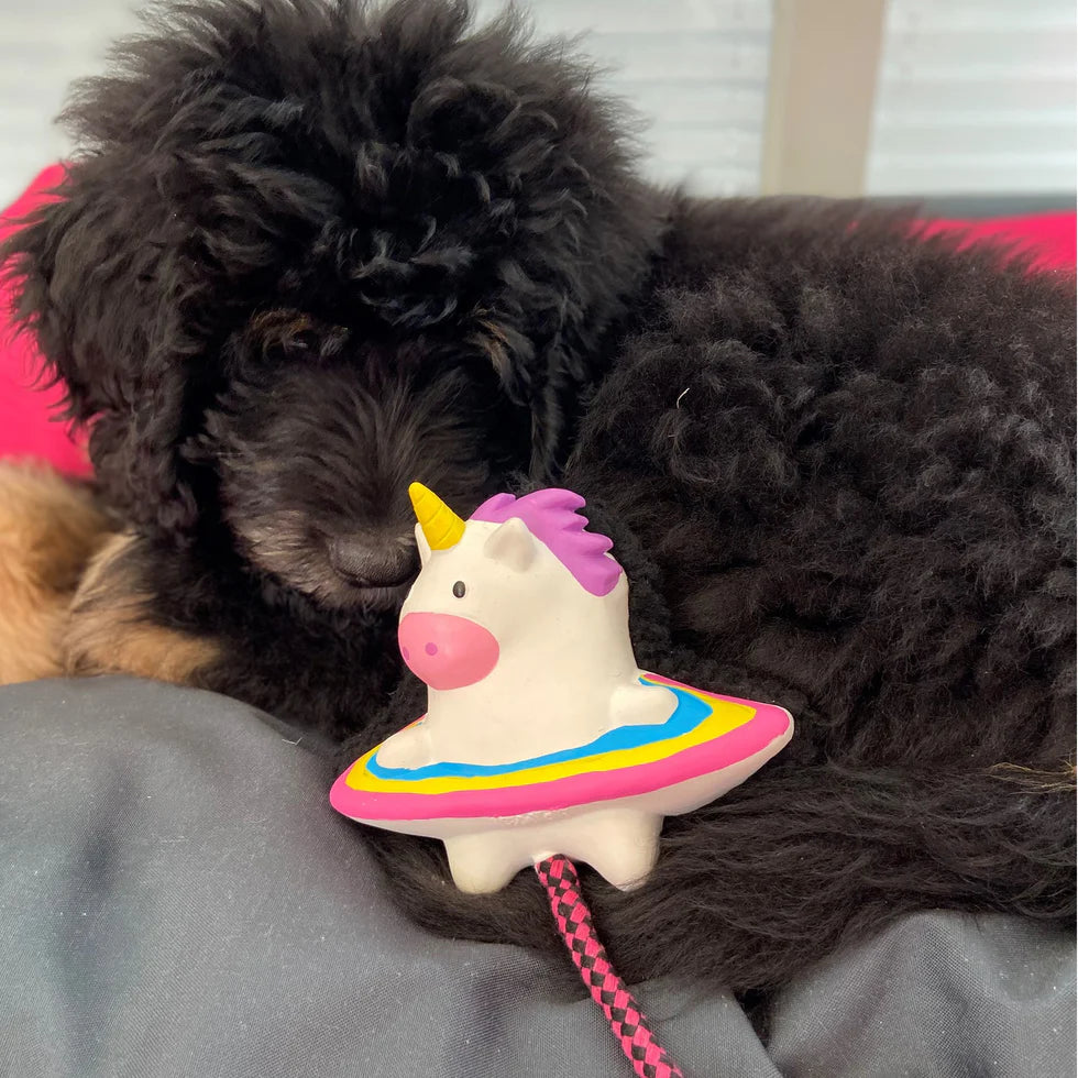 Peluche Snuggle Magic Mikey Max & Molly para perros
