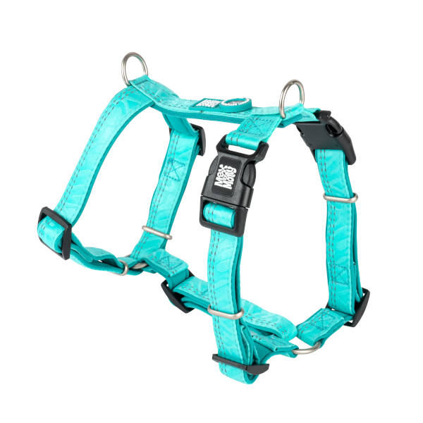 Arnés Comfort Matrix 2.0 Turquoise para perros