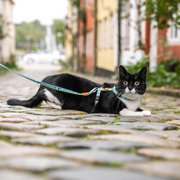 Arnés Black Sheep en H Max & Molly para gatos