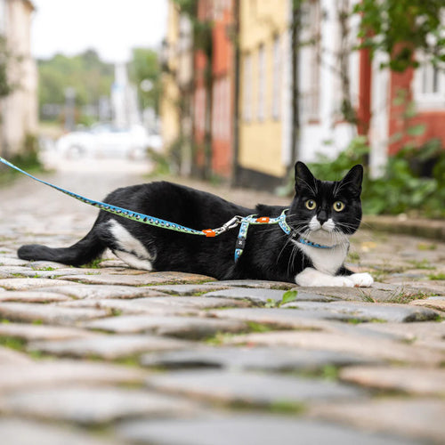 Arnés Black Sheep en H Max & Molly para gatos