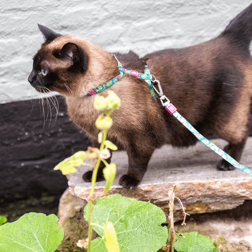 Arnés Tropical en H Max & Molly para gatos