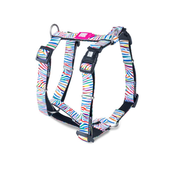 Arnés Magic Zebra en H Max & Molly para perros
