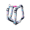 Arnés Magic Zebra en H Max & Molly para perros