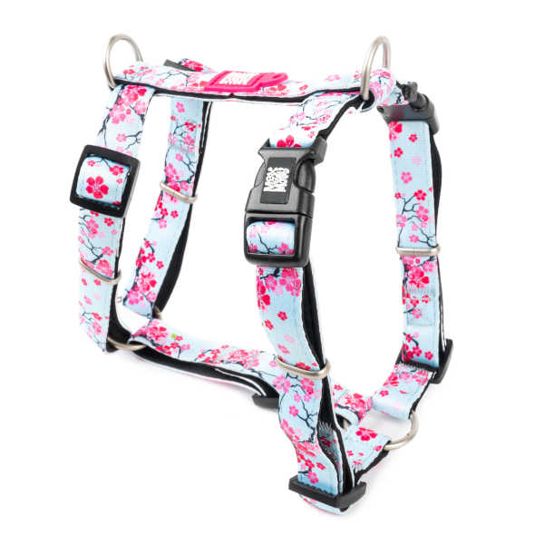 Arnés Cherry Bloom en H Max & Molly para perros