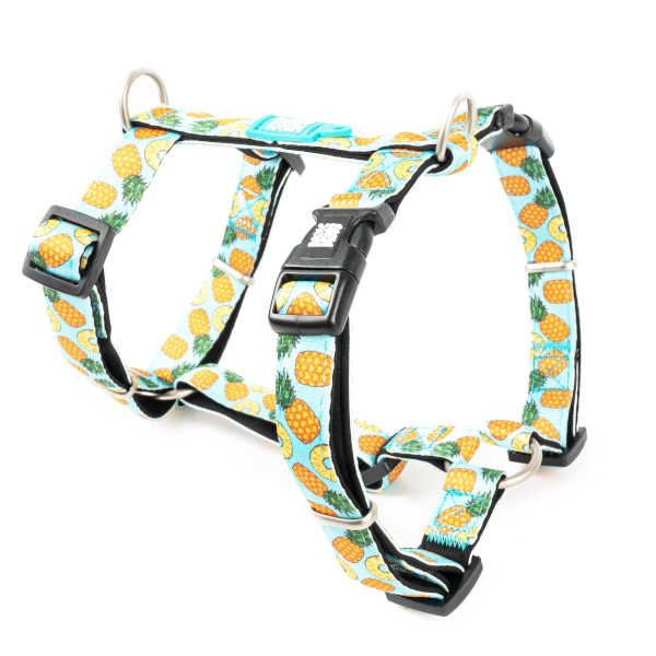 Arnés Sweet Pineapple en H Max & Molly para perros