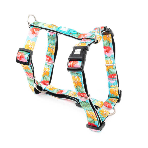 Arnés Exotique en H Max & Molly para perros