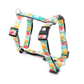 Arnés Exotique en H Max & Molly para perros