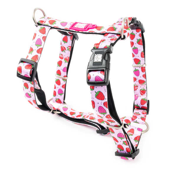 Arnés Strawberry Dream en H Max & Molly para perros