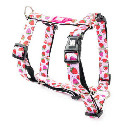 Arnés H Strawberry Dream Max & Molly para perros