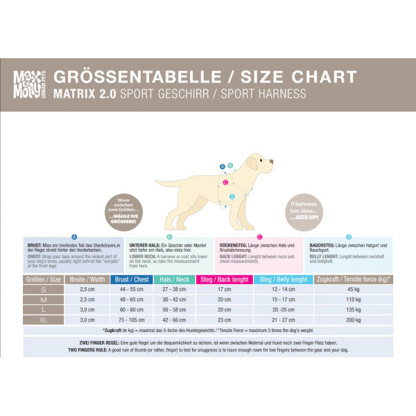 Arnés Sport Smart ID Matrix 2.0 Turquoise Max & Molly para perros