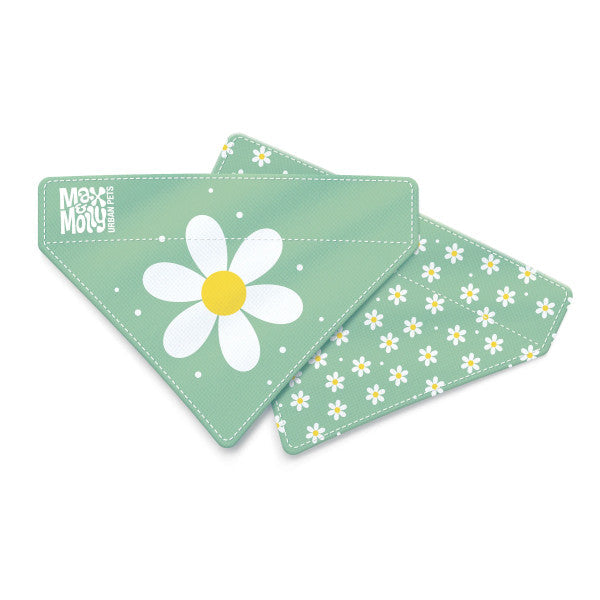 Bandana Margarite Max & Molly para perros