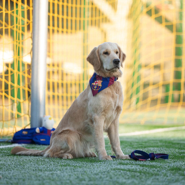 Bandana Futbol Club Barcelona Max & Molly para perros