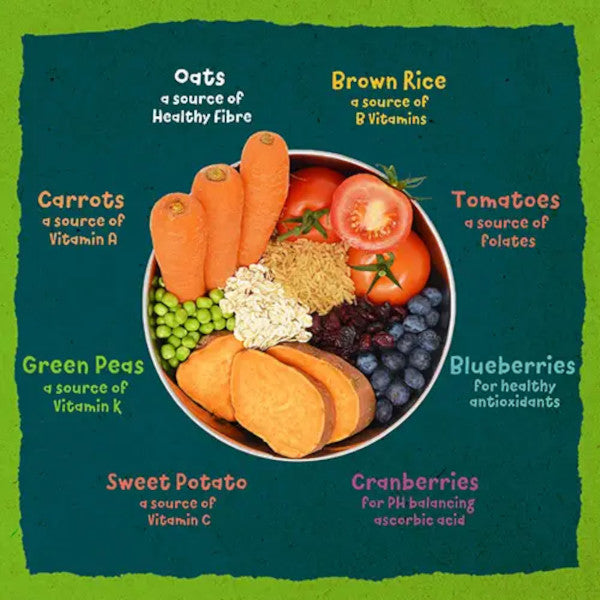 Alimento vegano dúo Benevo para perros y gatos