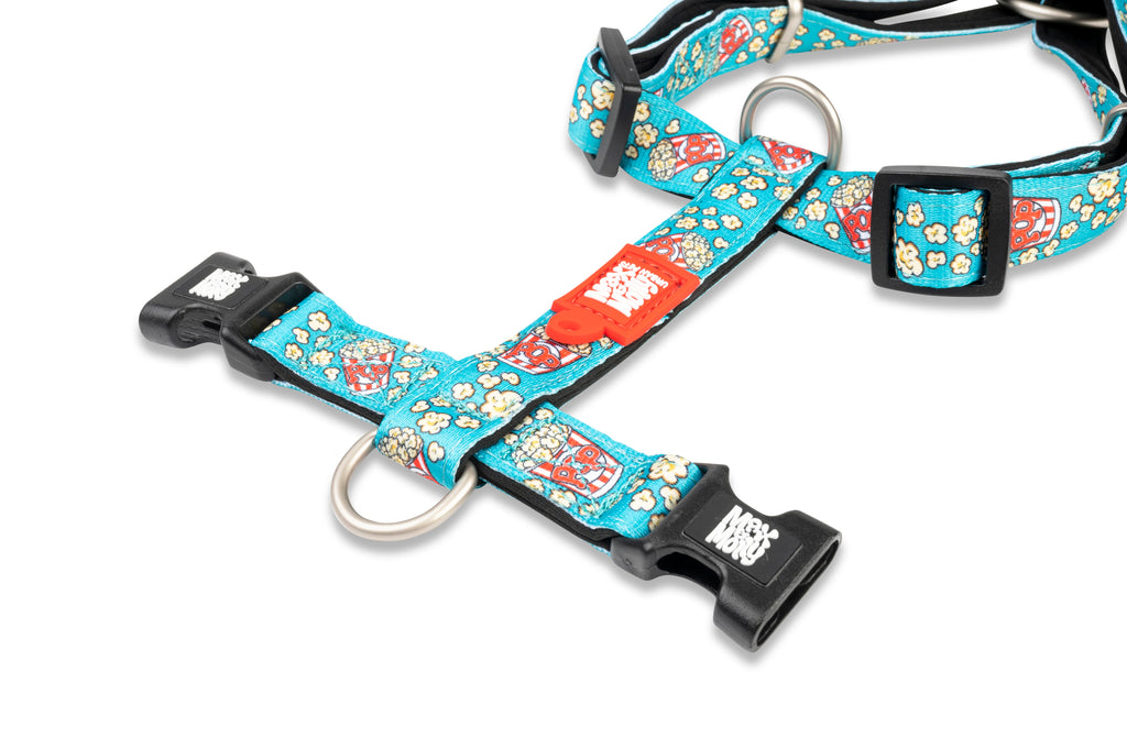Arnés Pop Corn en H Max & Molly para perros - imagen 4