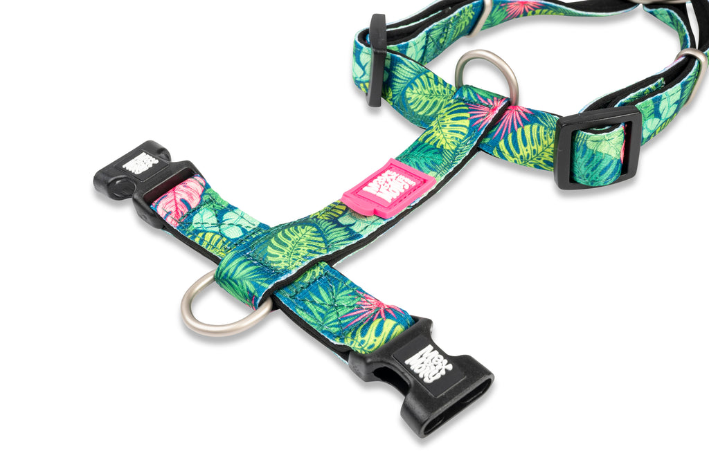 Arnés Tropical en H Max & Molly para perros - imagen 4