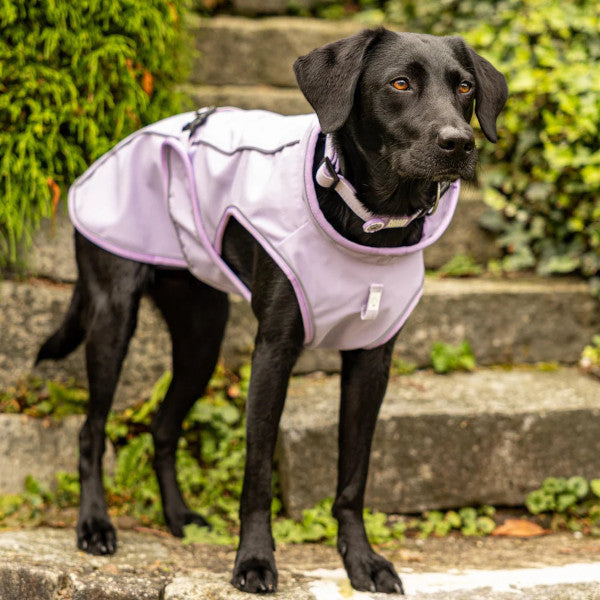 Chubasquero Raincoat Matrix 2.0 Lavender Max & Molly para perros