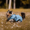 Chubasquero Raincoat Matrix 2.0 Ocean Max & Molly para perros