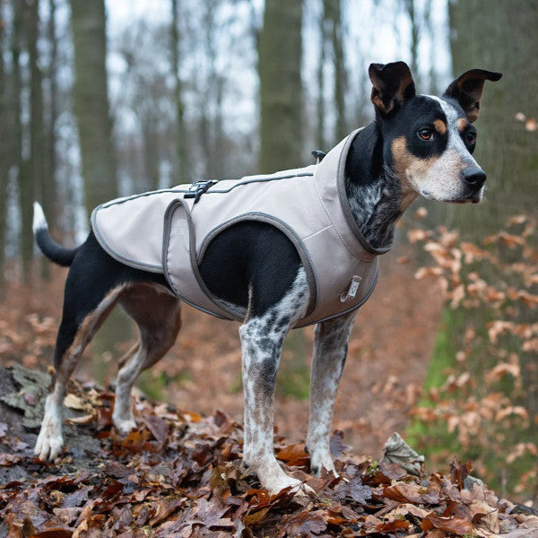 Chubasquero Raincoat Matrix 2.0 Sand Max & Molly para perros