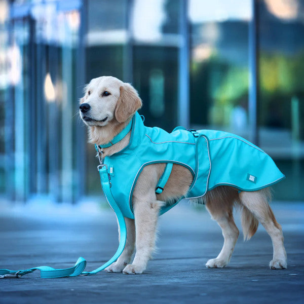 Chubasquero Raincoat Matrix 2.0 Turquoise Max & Molly para perros