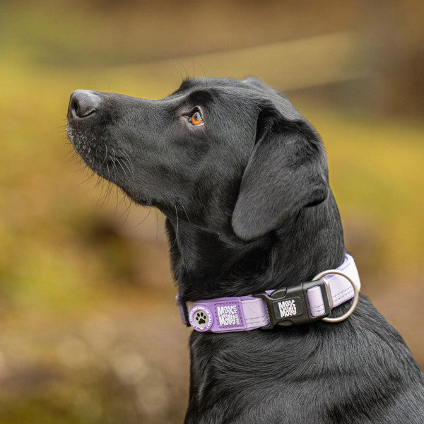 Collar Smart ID Matrix 2.0 Lavender para perros