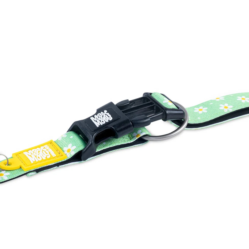 Collar Gotcha Smart ID Margarite Max & Molly para perros