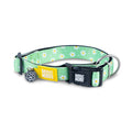 Collar Gotcha Smart ID Margarite Max & Molly para perros