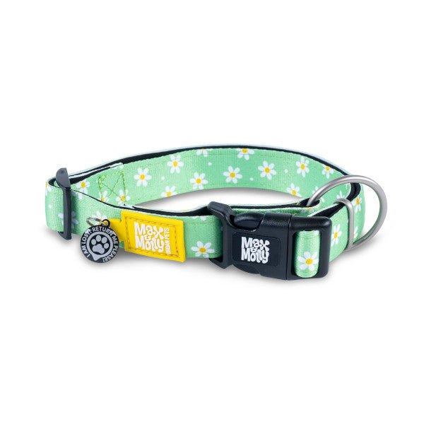 Collar Gotcha Smart ID Margarite Max & Molly para perros