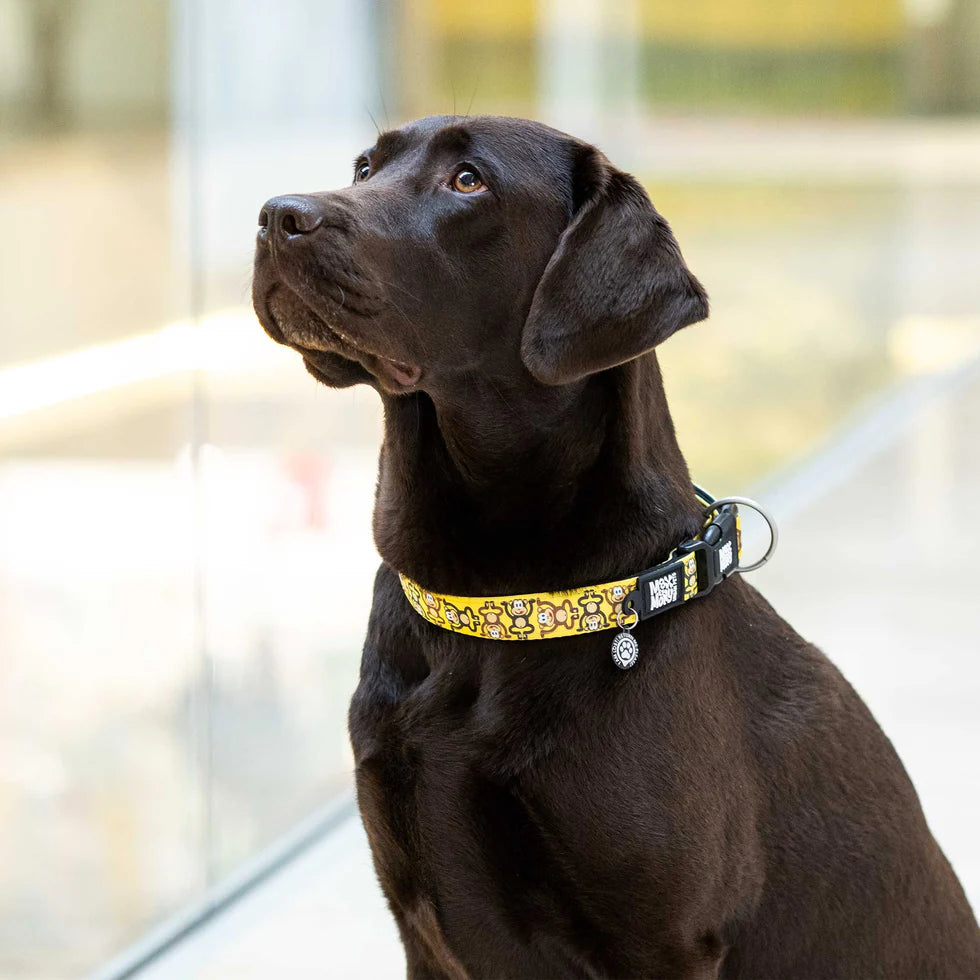 Collar Gotcha Smart ID Monkey Maniac Max & Molly para perros