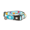 Collar Gotcha Smart ID Ocean Blue Max & Molly para perros