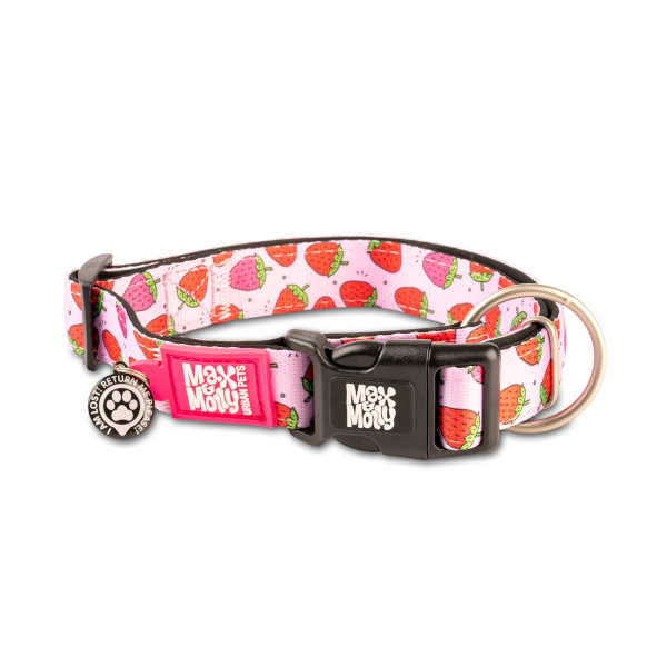 Collar Gotcha Smart ID Strawberry Dream Max & Molly para perros