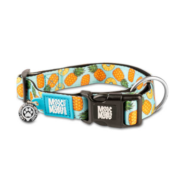 Collar Gotcha Smart ID Sweet Pineapple Max & Molly para perros