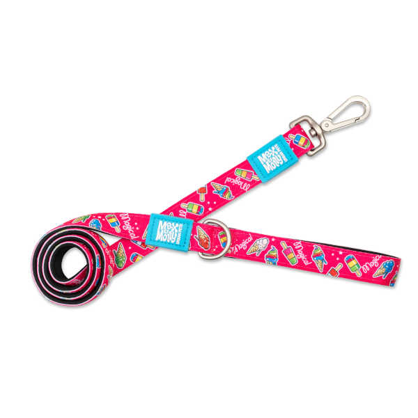 Correa Magical Max & Molly para perros