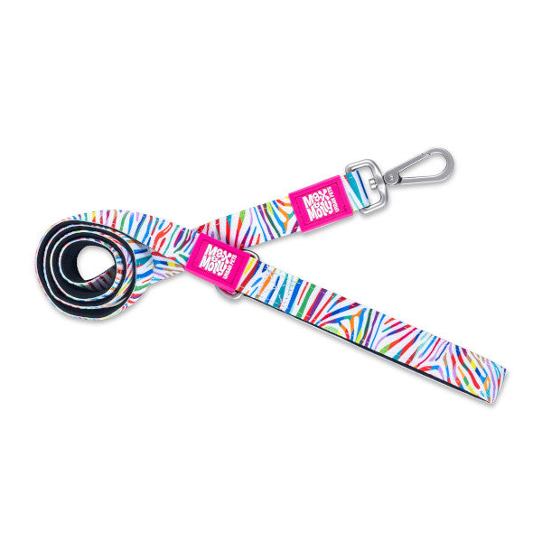Correa Magic Zebra Max & Molly para perros