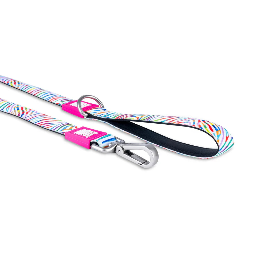 Correa Magic Zebra Max & Molly para perros
