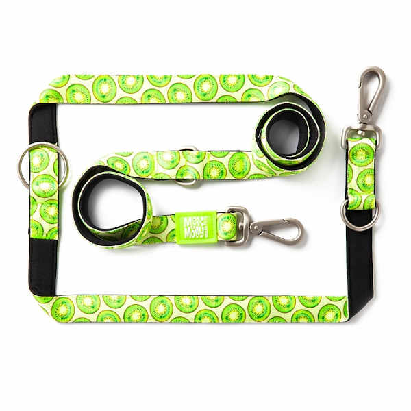 Correa Multifunción Kiwi Max & Molly para perros