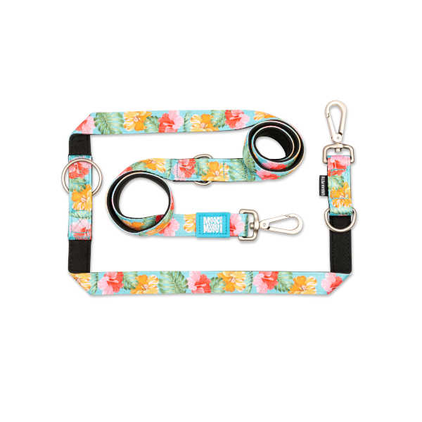 Correa Multifunción Exotique Max & Molly para perros
