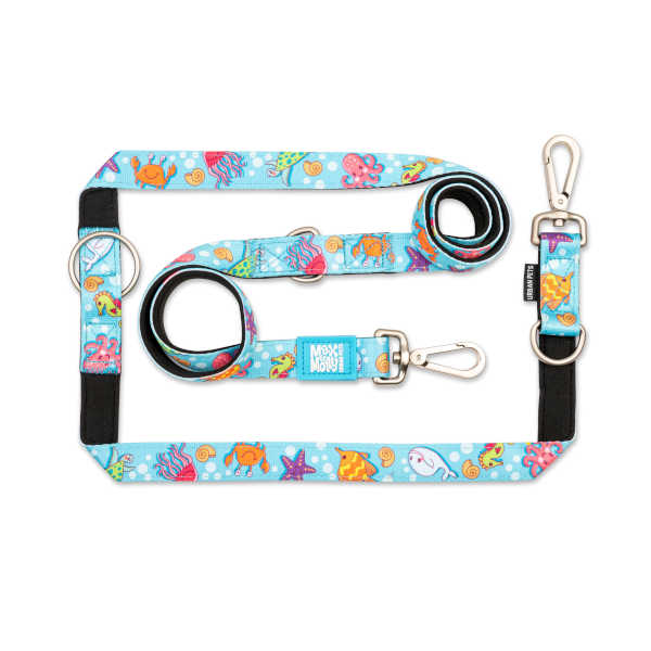 Correa Multifunción Blue Ocean Max & Molly para perros